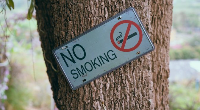 a no smoking signage on a tree