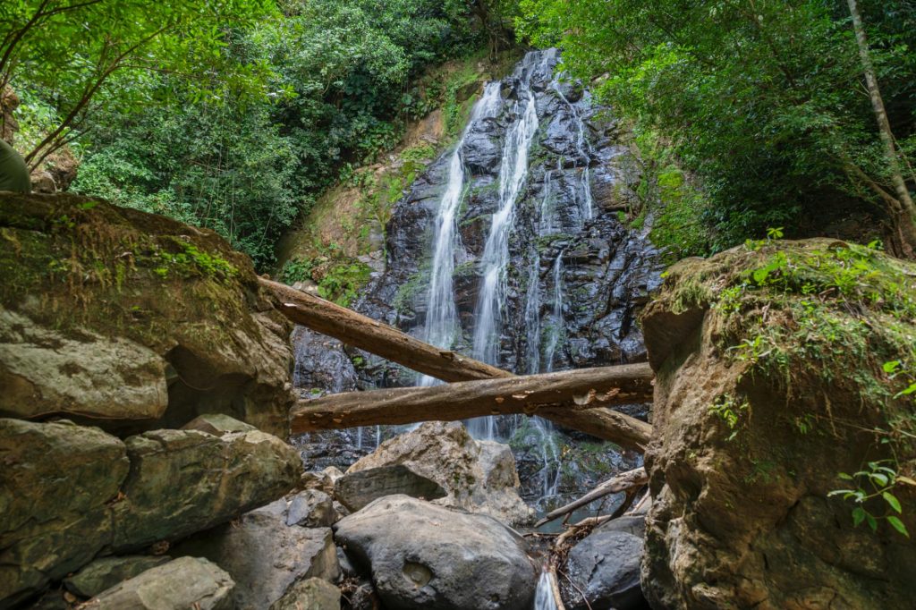 serene waterfall amidst lush greenery in costa rica