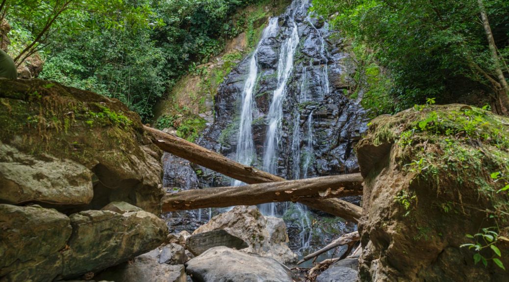 serene waterfall amidst lush greenery in costa rica