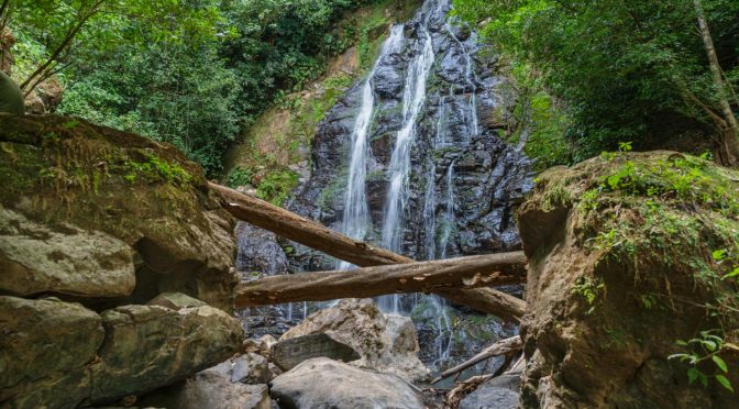 serene waterfall amidst lush greenery in costa rica